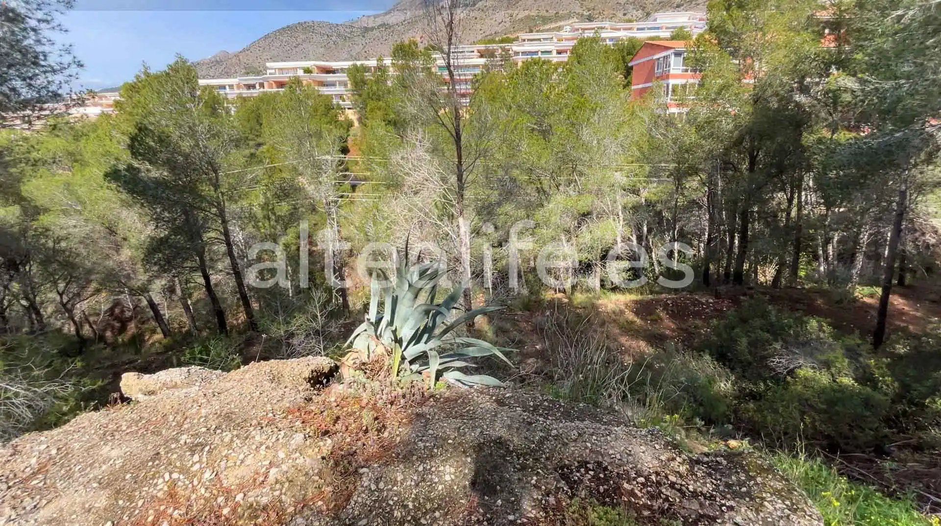 Terreny residencial en venda a Calle Erica, imagen 14
