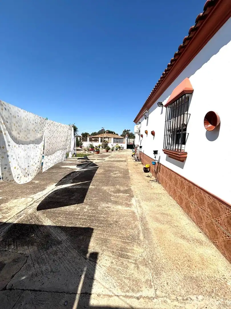 Detached house with pool for sale in Villaverde del Río, imagen 15