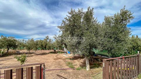 Foto 2 de Finca rústica en venda a Peligros, Granada