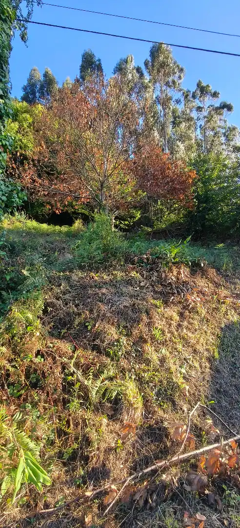 Maison rustique avec jardin à vendre à Lugar Peneiro 7, imagen 45