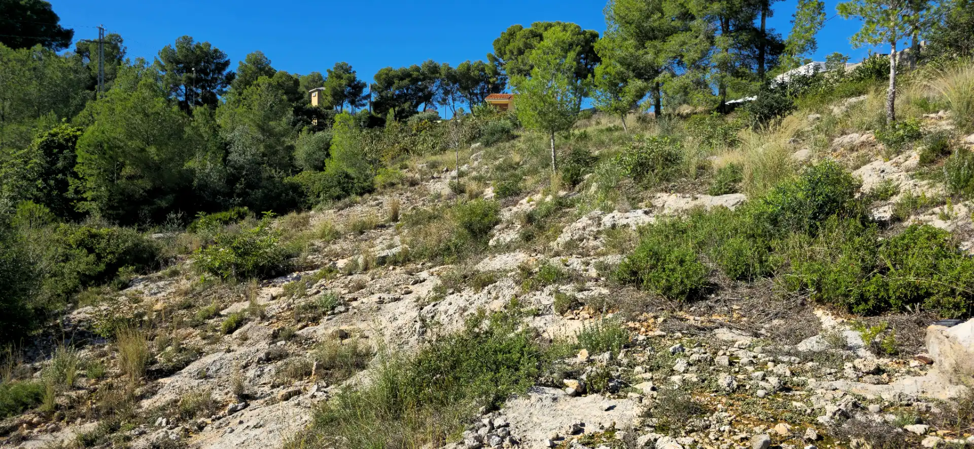 Wohnbaugrundstück zum Verkauf in Calle C/2 Lloma Molina 31, imagen 37