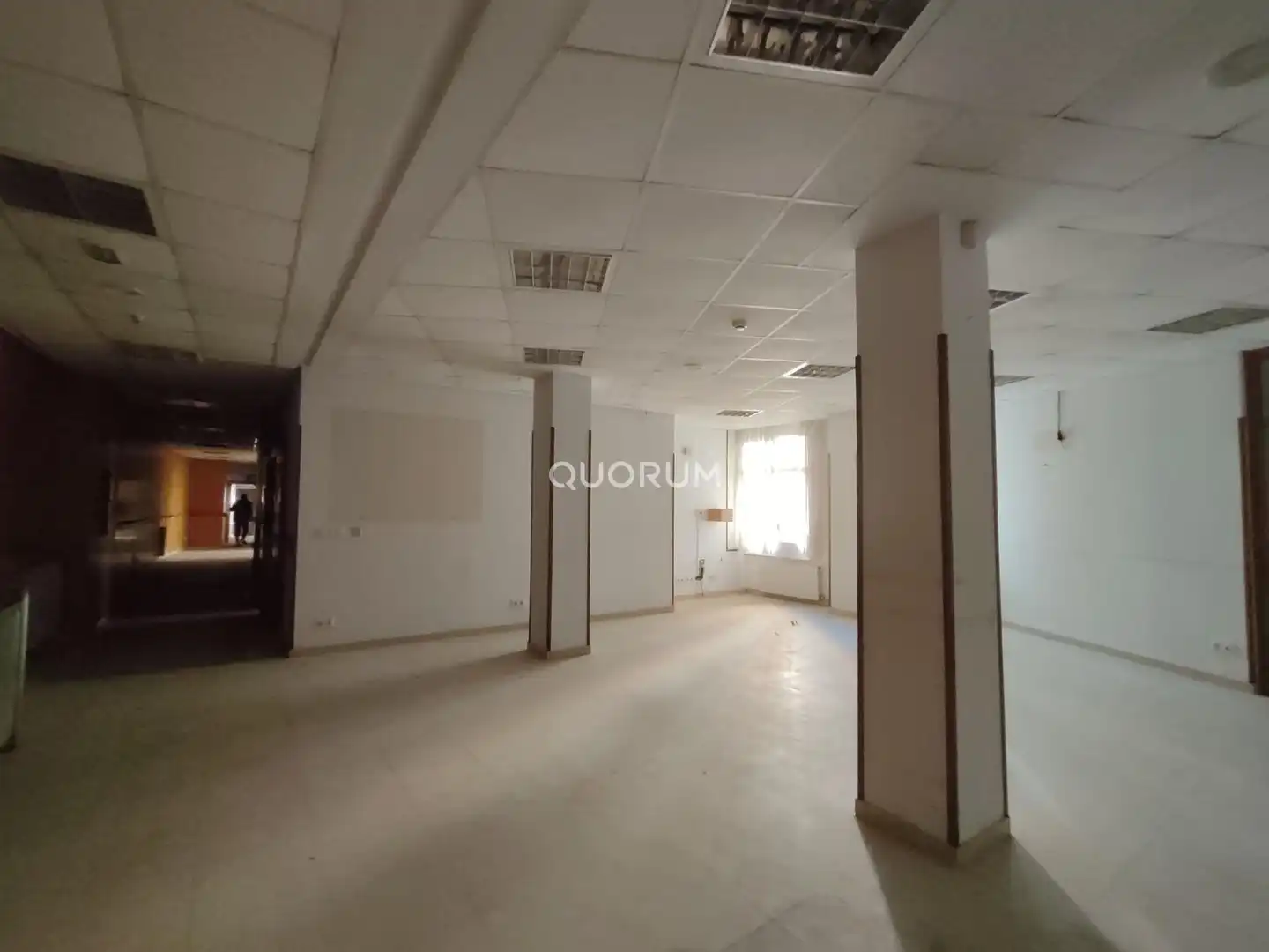 Gewerbefläche zum Verkauf in Deusto, imagen 9