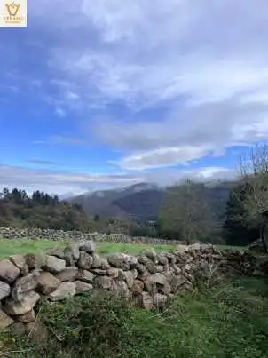 Vista exterior de Finca rústica en venta en Luena 