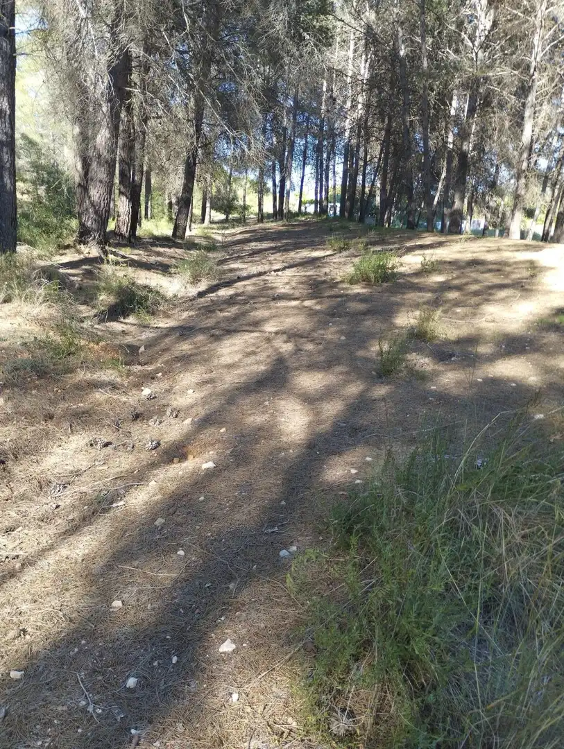 Lands and plots for sale in L'Olleria, imagen 3
