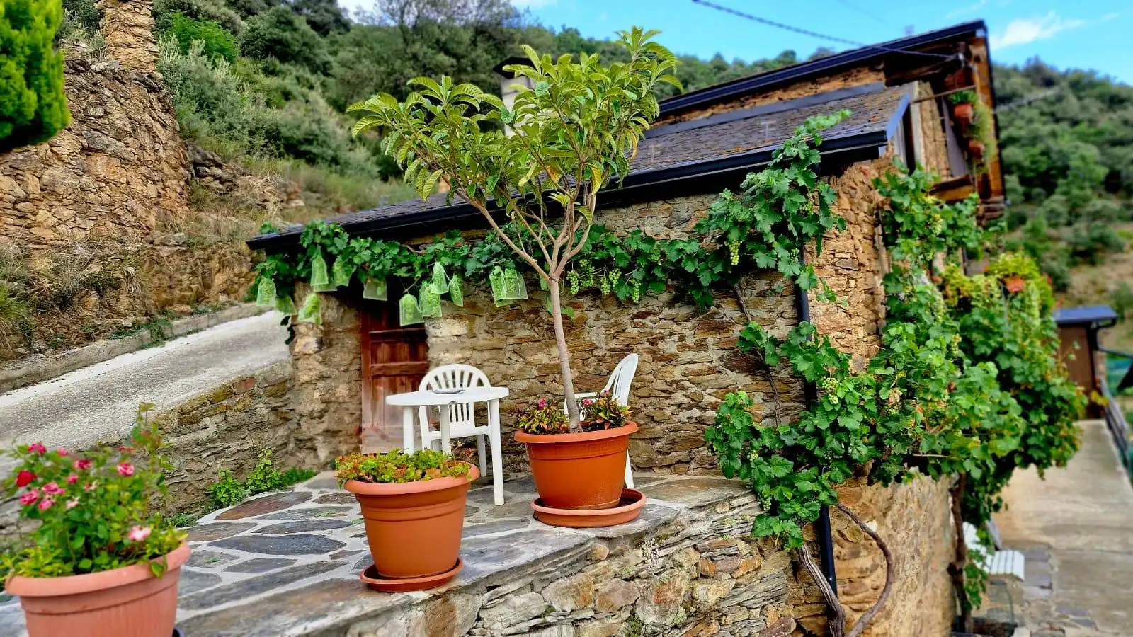 Terrassa de Casa o xalet en venda en Les Valls de Valira