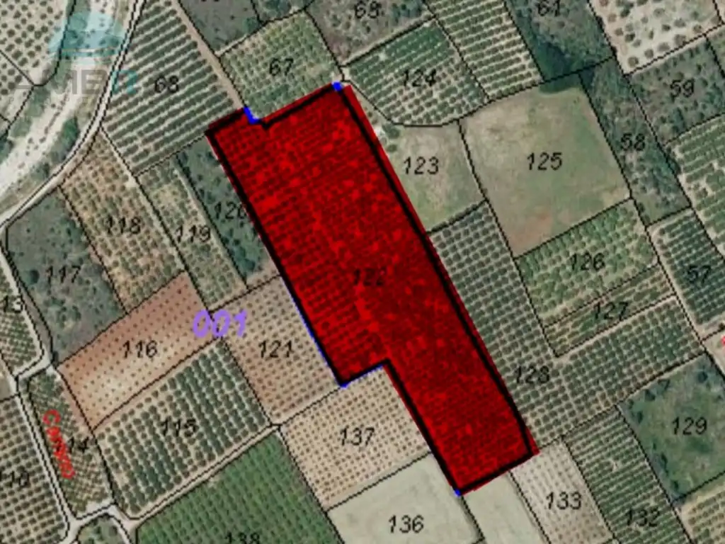 Rural land for sale in Partida Garroferal