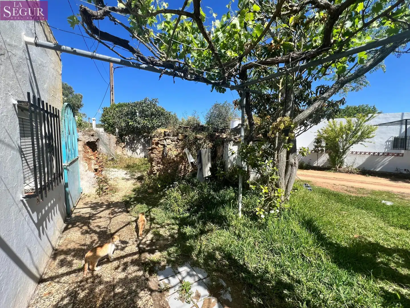 Terreni e lotti in vendita a Vejer, imagen 10