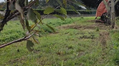 Foto 3 de Casa o chalet en venta en Dorneda, Oleiros