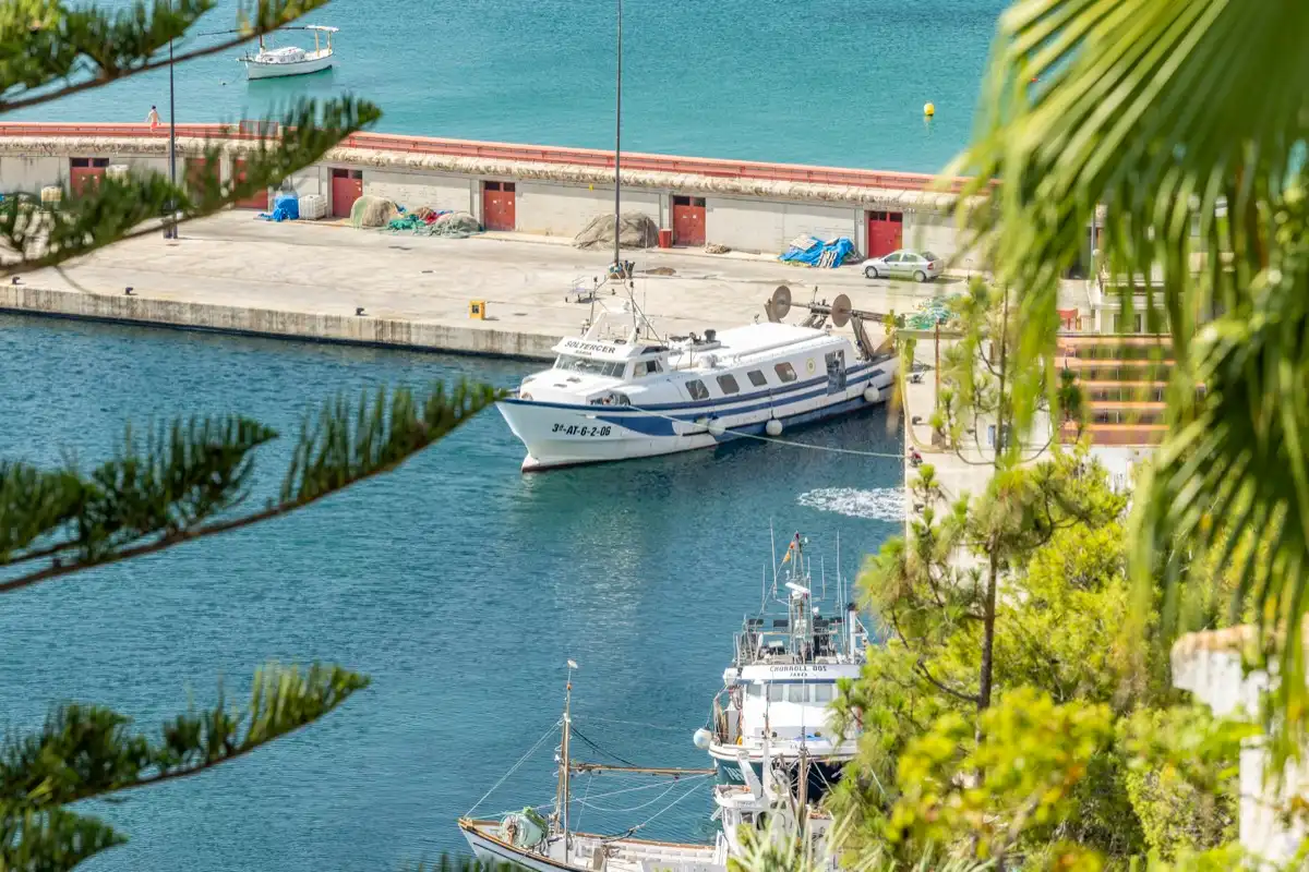 Villa con piscina in vendita a Puerto, imagen 58