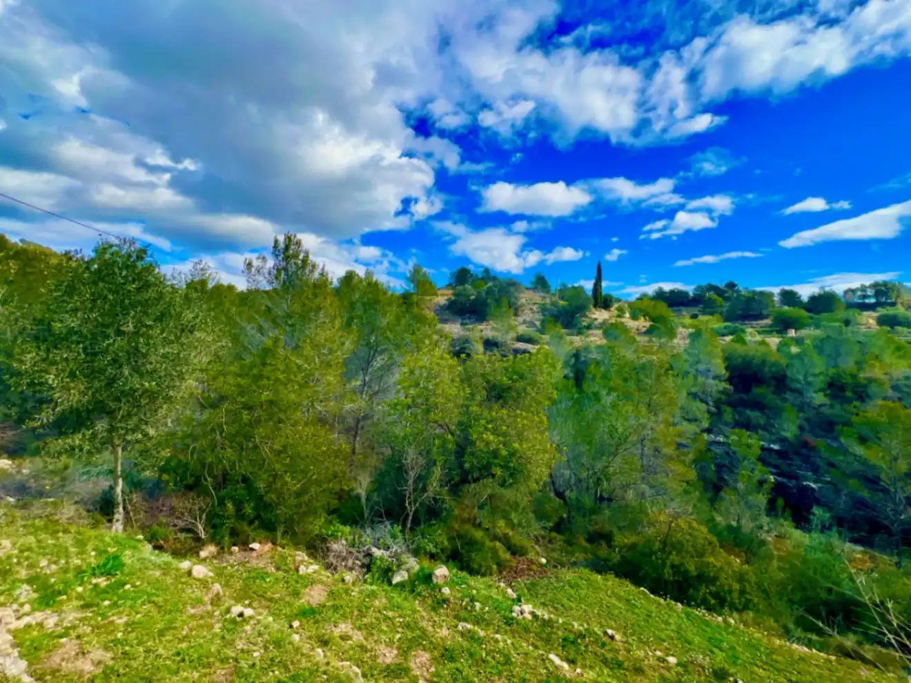Maison rustique avec jardin à vendre à Benissa pueblo, imagen 12