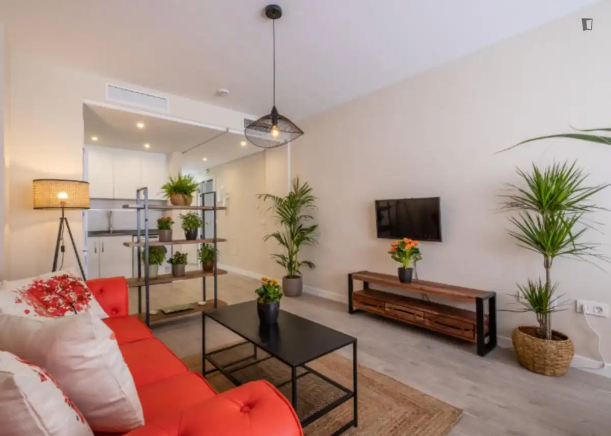 Sala de estar de Apartamento de alquiler en Málaga con Aire acondicionado, Amueblado y Horno