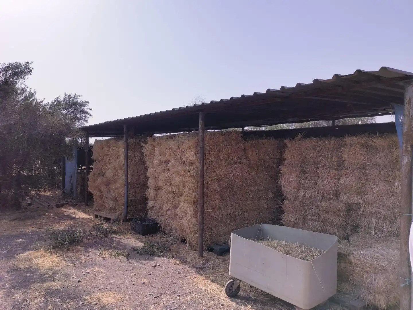 Casa rustica con giardino in vendita a La Zubia Ciudad, imagen 33