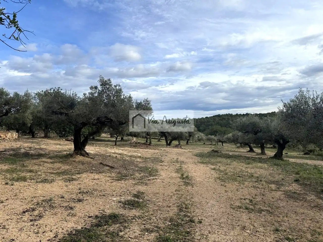 Grundstücke zum Verkauf in L'Ametlla de Mar 