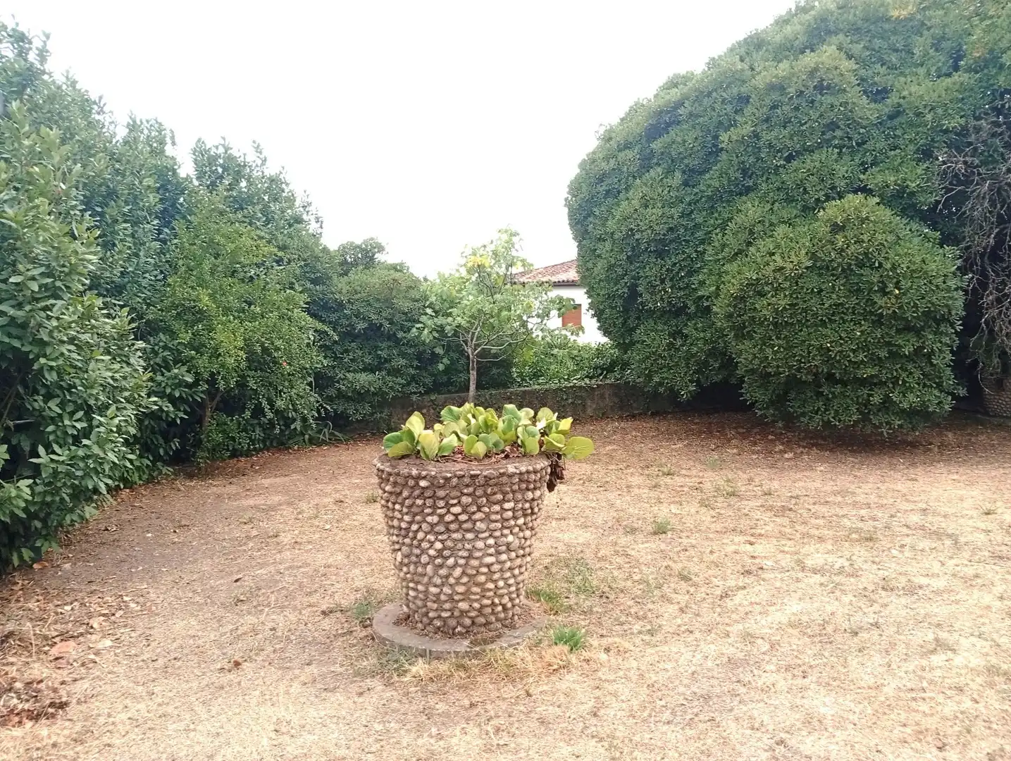 Jardín de Casa o chalet en venta en Villanueva de la Vera con Jardín privado y Trastero