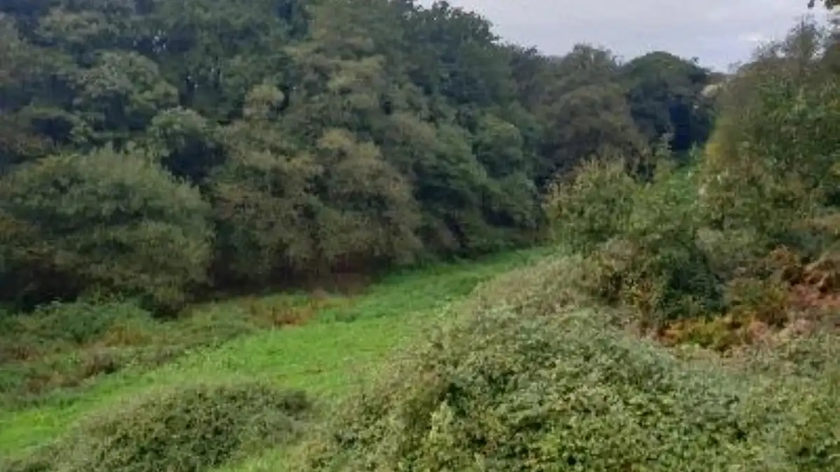 Terreno rustico in vendita a Lugar Carrionina, imagen 7
