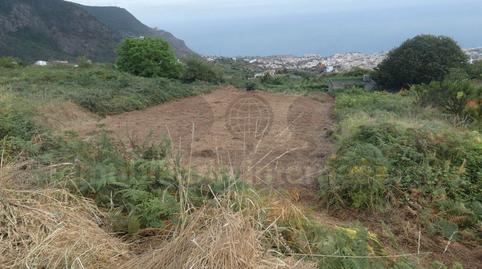 Foto 4 von Grundstücke zum Verkauf in Palo Blanco, Los Realejos