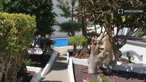 Foto 4 de Estudi per a compartir a Los Cristianos, Santa Cruz de Tenerife