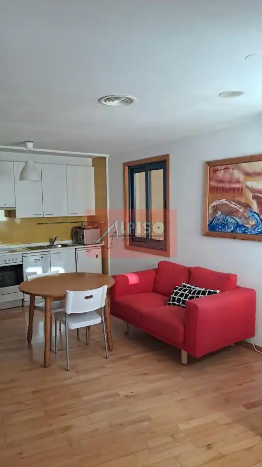 Sala de estar de Apartamento de alquiler en Ourense Capital  con Calefacción, Parquet y Amueblado