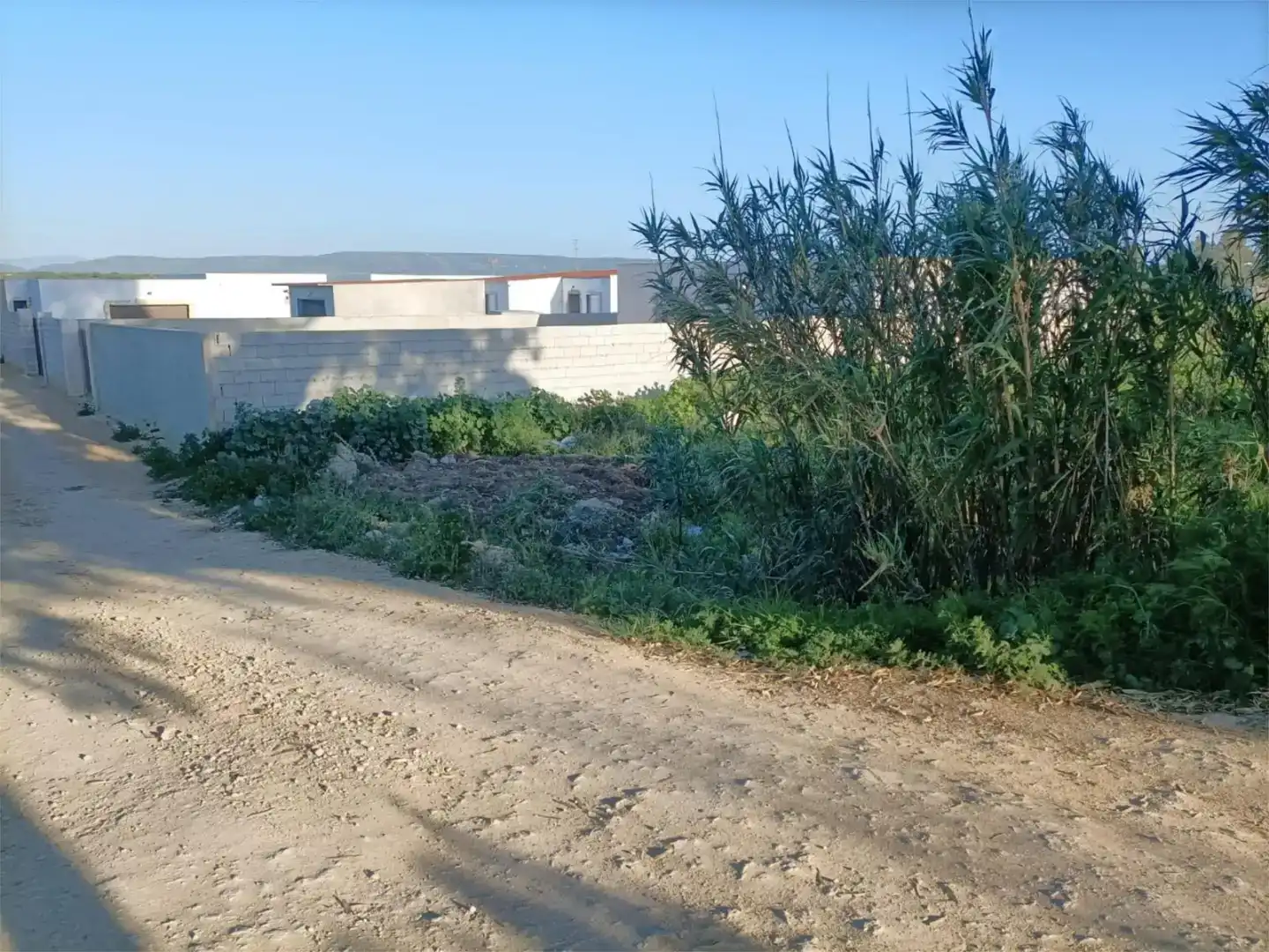 Finca rústica en venda en Barbate