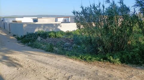 Foto 4 de Finca rústica en venda a Barbate ciudad, Barbate