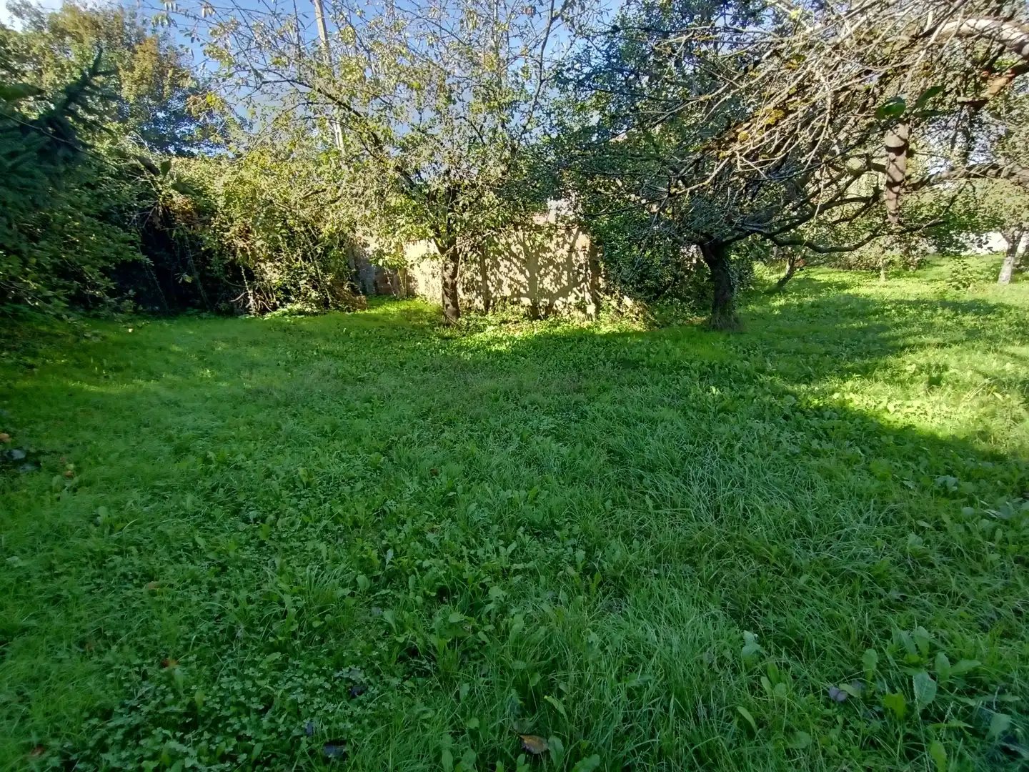 Residential land for sale in Calle Conde de Santa Barbara 31, imagen 16
