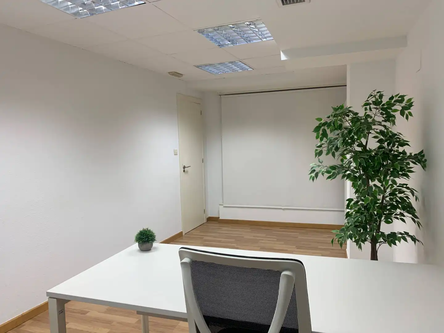 Büro zur Miete in Elche / Elx mit Möbliert