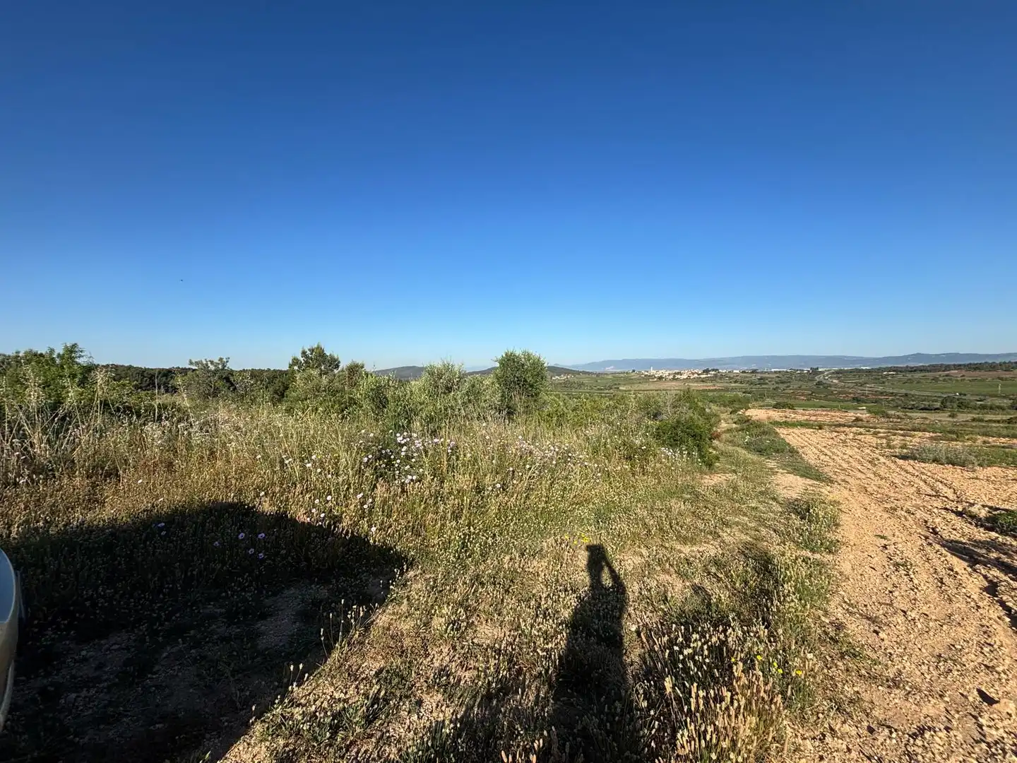 Rural land for sale in Camí de Rodonya 3