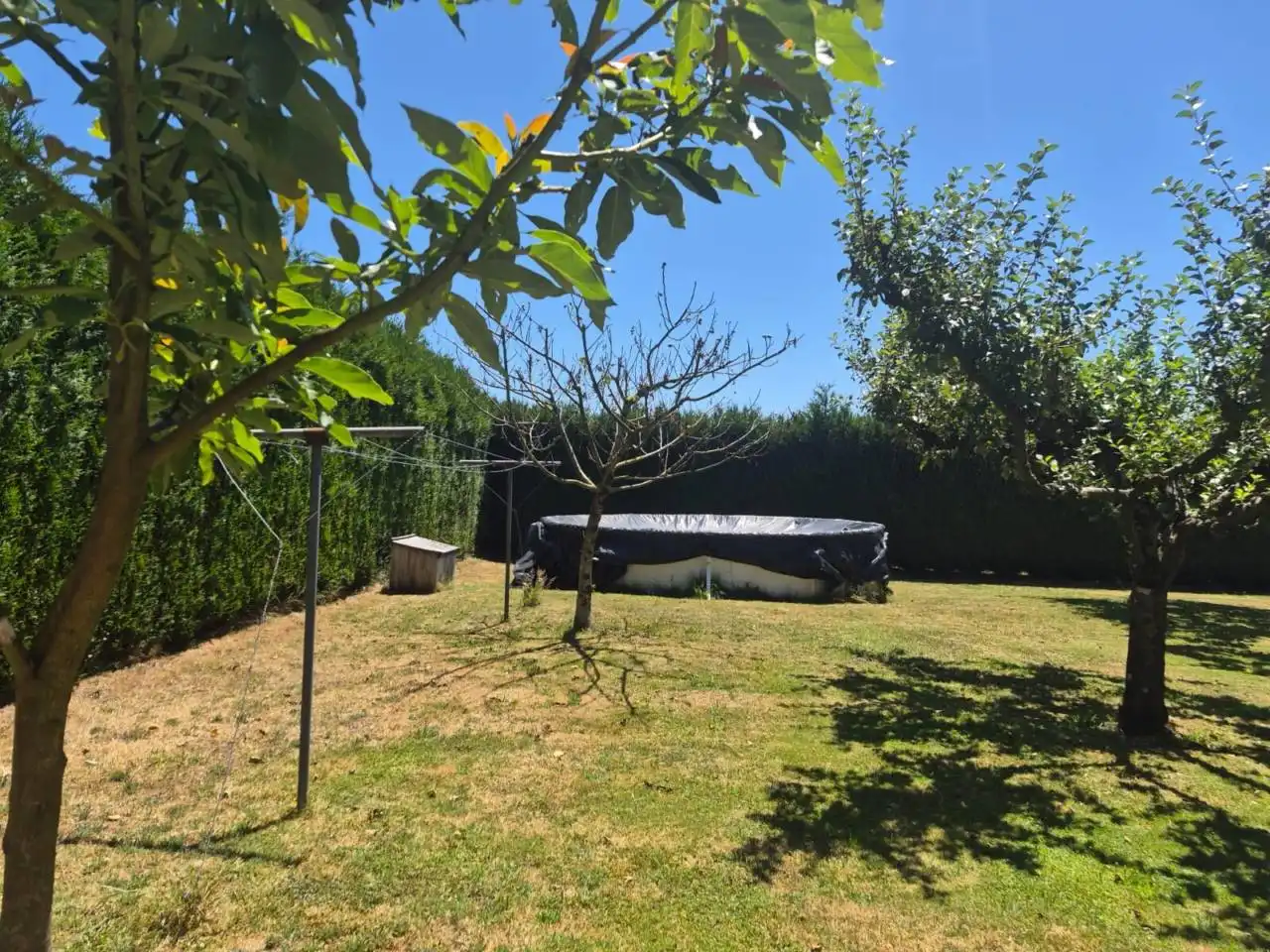Jardín de Casa o chalet en venta en Mesía