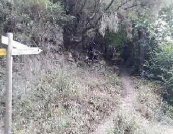 Land for sale in Breña Alta