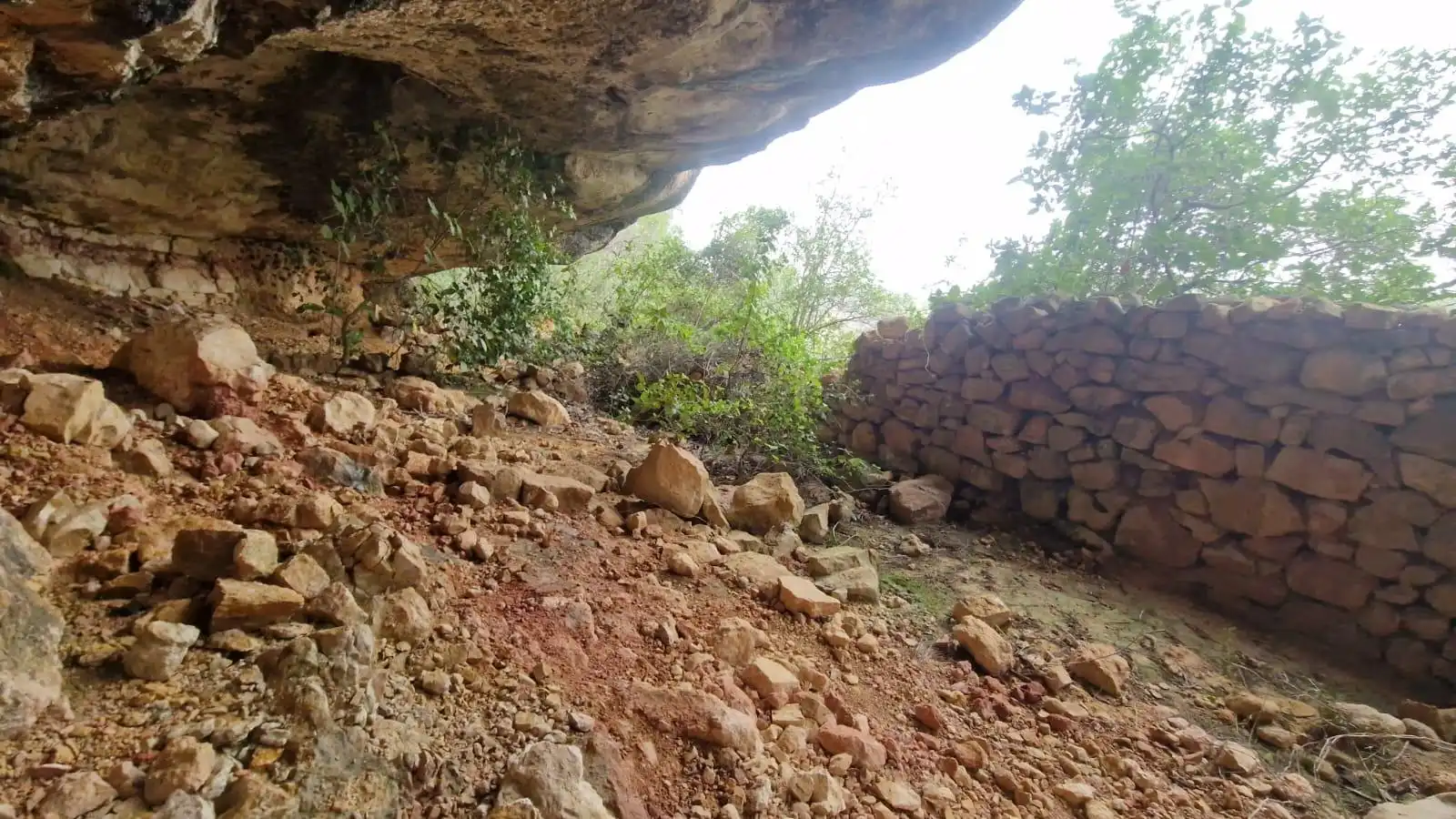 Terrain rustique à vendre à Vinebre