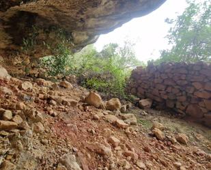 Land for sale in Vinebre