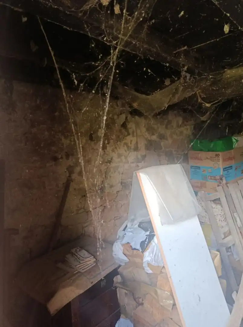 Finca rústica en venda en Pravia amb Jardí privat, Moblat i Forn