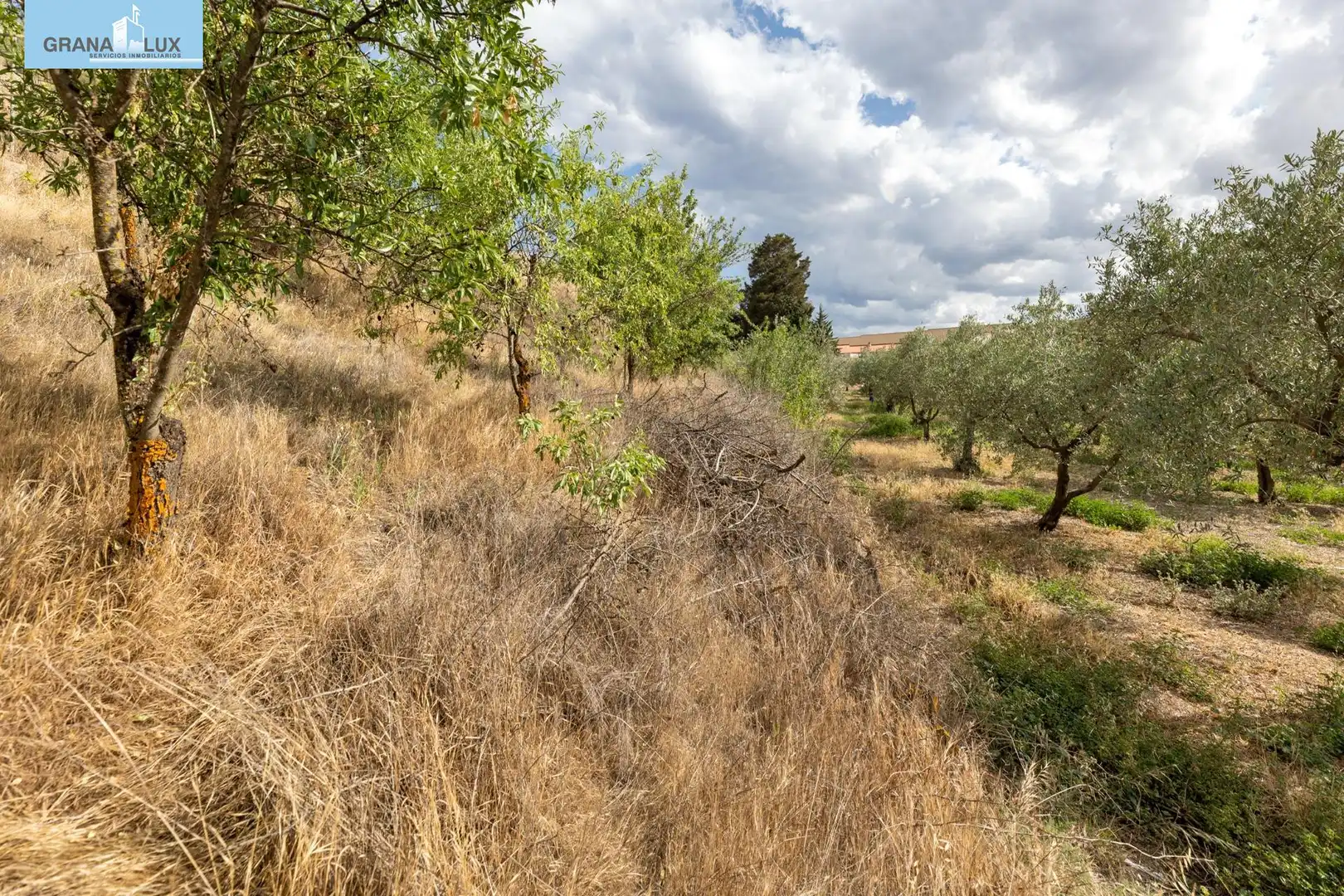 Terreno rustico in vendita a Calle POL 1, PARC 176, imagen 14