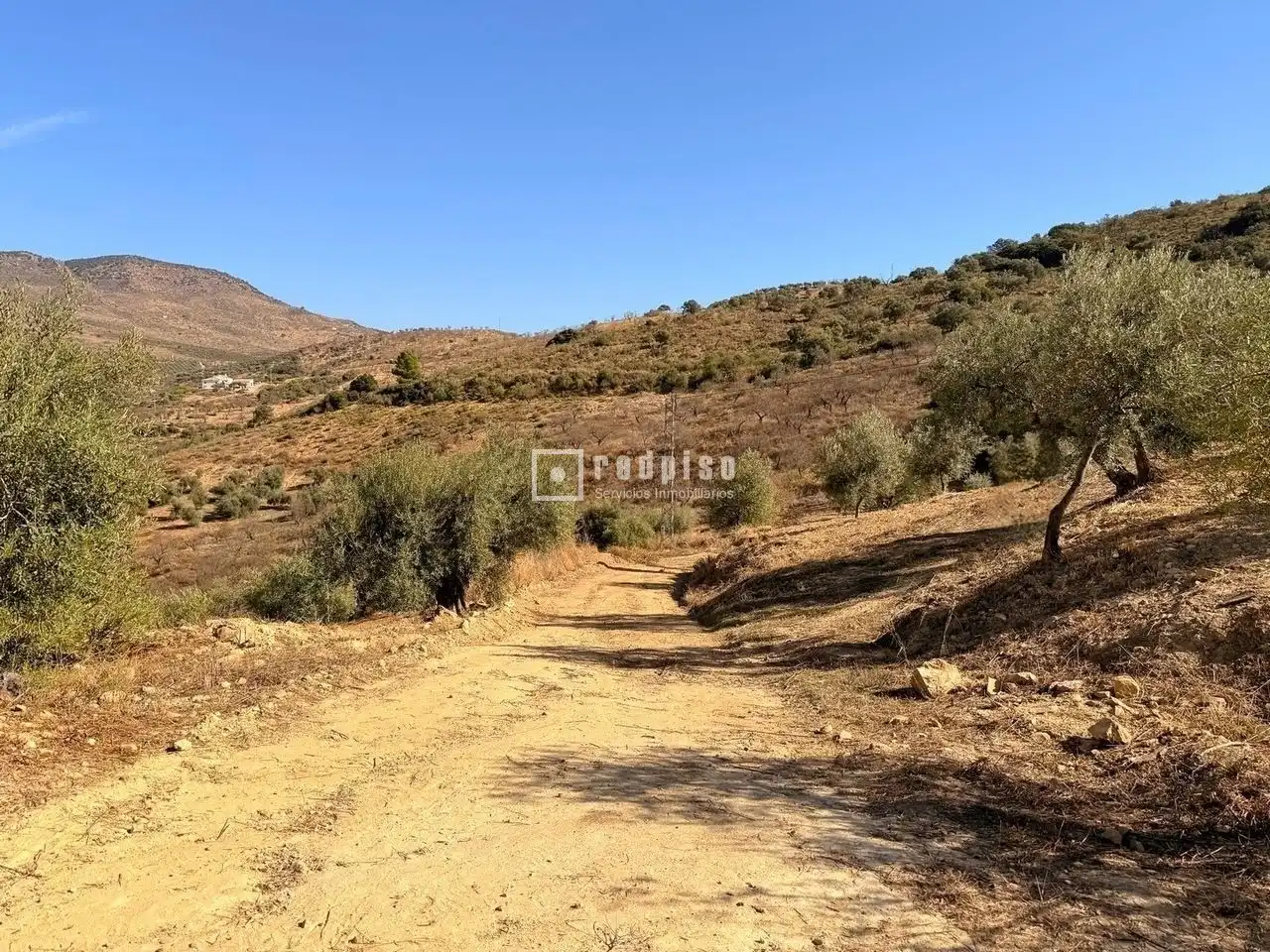 Residential land for sale in Diseminados, imagen 8