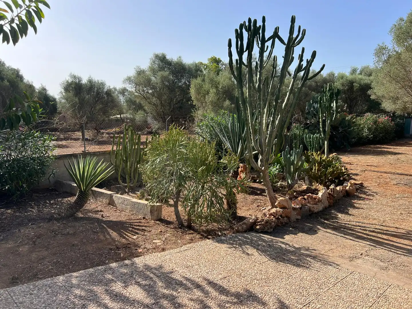 Casa rustica con giardino in affitto a Felanitx Poble, imagen 19