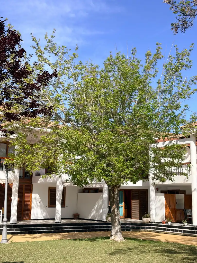 Chalet con piscina en venta en El Puig, imagen 22