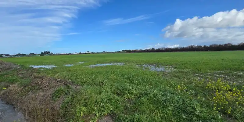 Terreni e lotti in vendita a Camino De Múnive - Reyerta, imagen 4