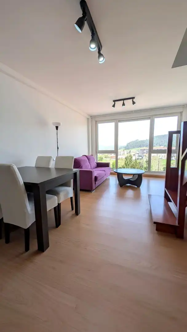 Sala d'estar de Pis de lloguer en Piélagos amb Calefacció, Terrassa i Moblat