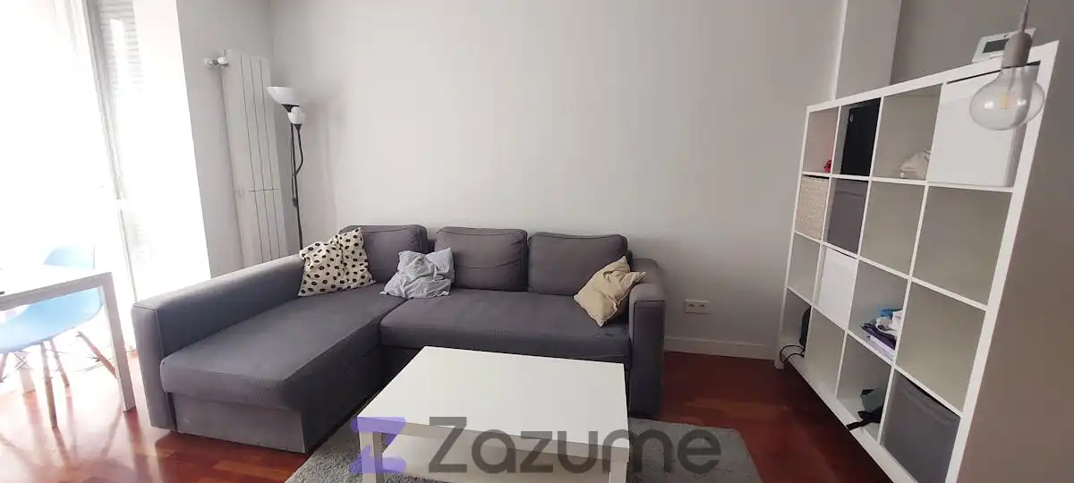 Sala d'estar de Estudi de lloguer en Madrid amb Aire condicionat, Calefacció i Parquet