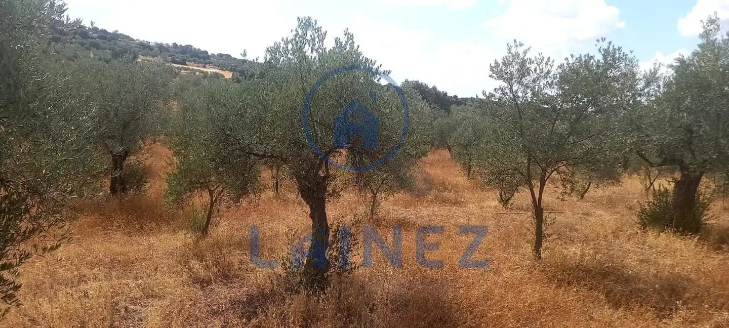 Wohnbaugrundstück zum Verkauf in La Granjuela, imagen 9