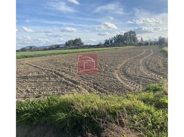 Terreno rustico in vendita a Villanueva de la Serena