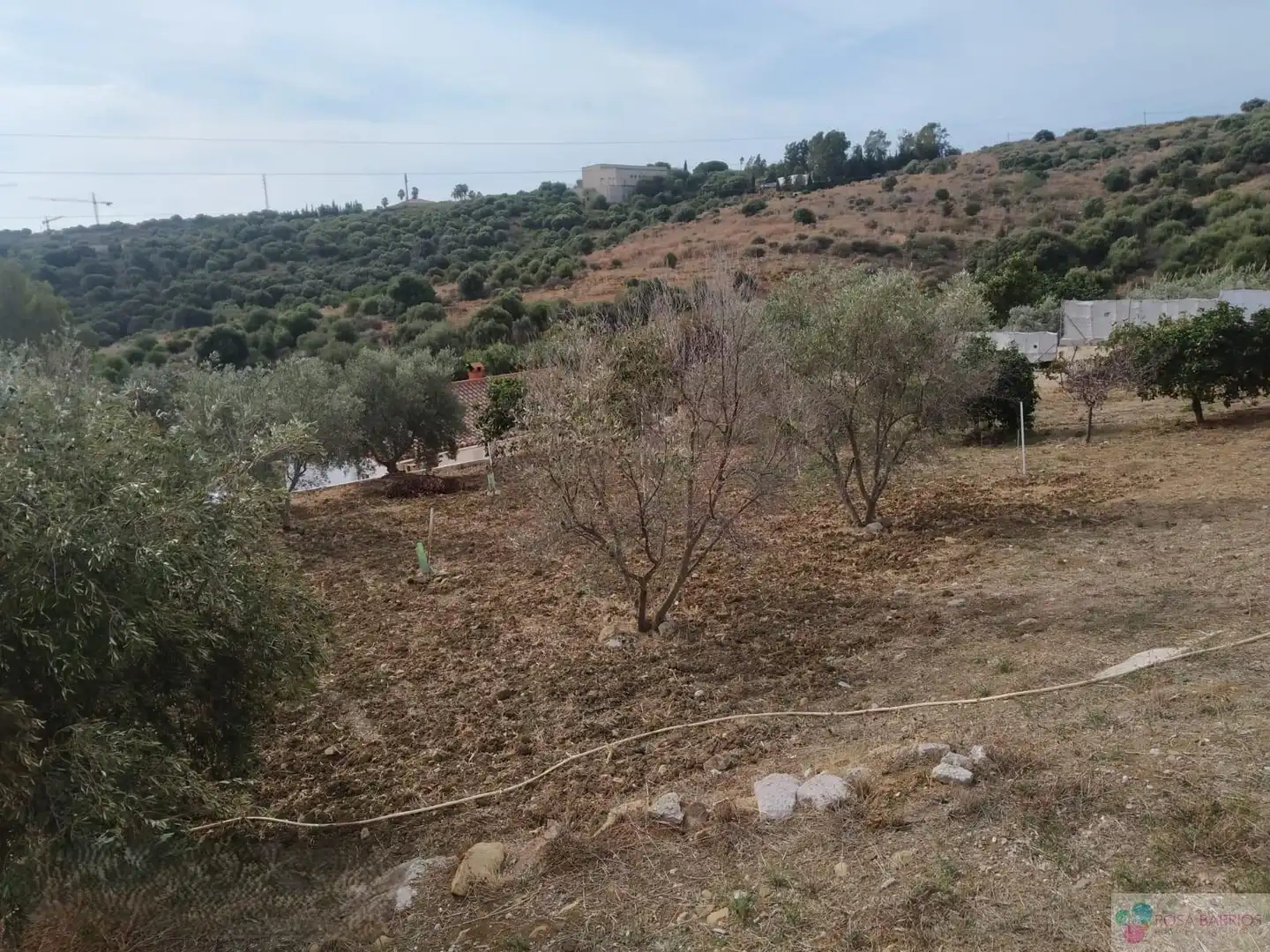 Terreni e lotti in vendita a Costa Natura, imagen 8