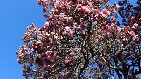 Foto 4 de Casa o chalet en venta en San Pedro da Ramallosa, Nigrán