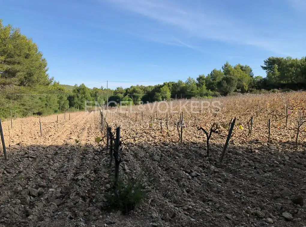 Fabrik Grundstücke zum Verkauf in Avinyonet del Penedès