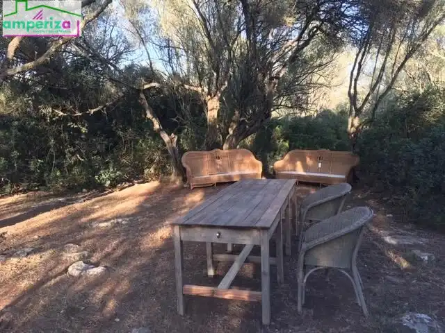 Rural land for sale in Felanitx Poble, imagen 12