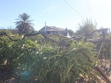 Casa rústica en venta en Poligono 2 Paraje 2 Aguzaderas
