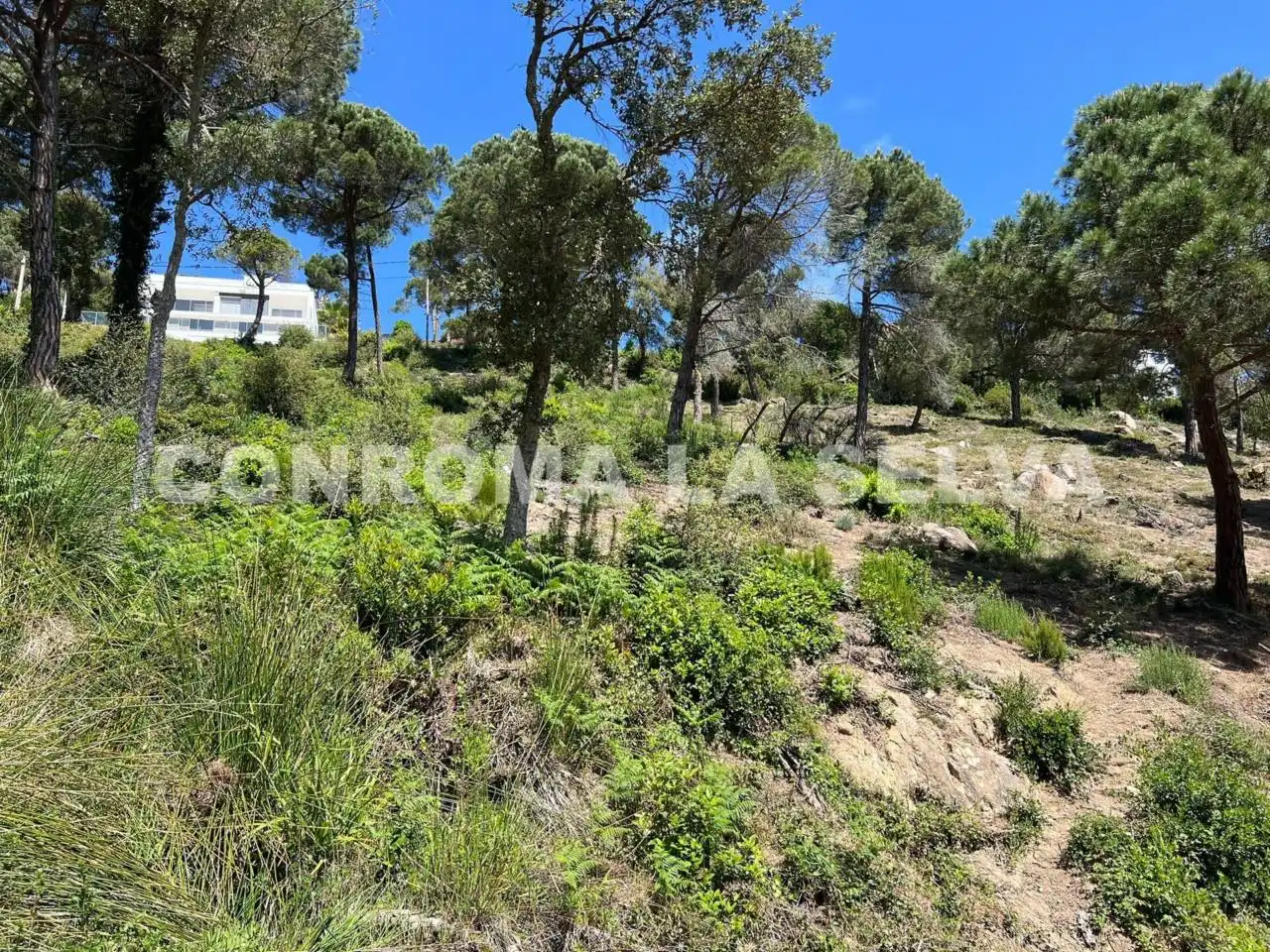 Terreno residencial en venta en Serra Brava