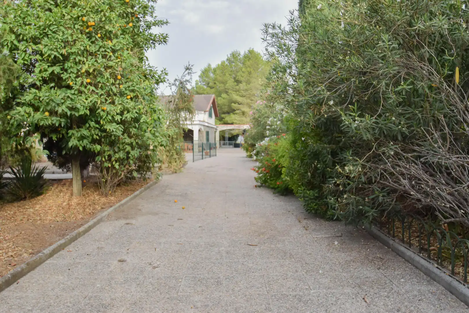 Vista exterior de Casa o xalet en venda en Chauchina amb Aire condicionat, Jardí privat i Terrassa