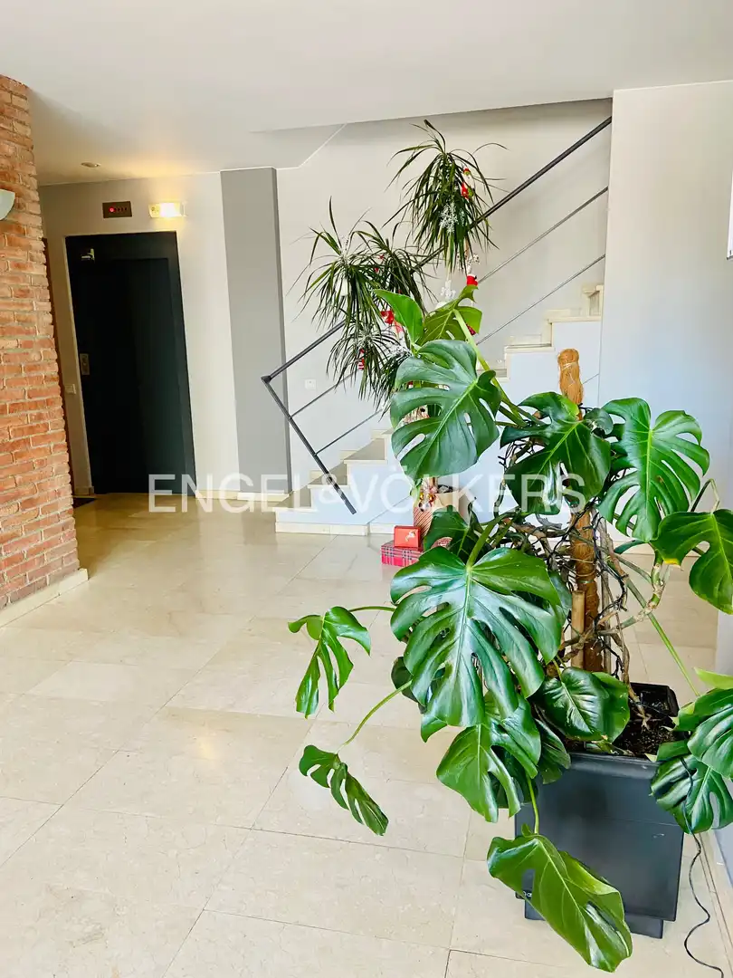 Flat with terrace to rent in Arxiu, imagen 2