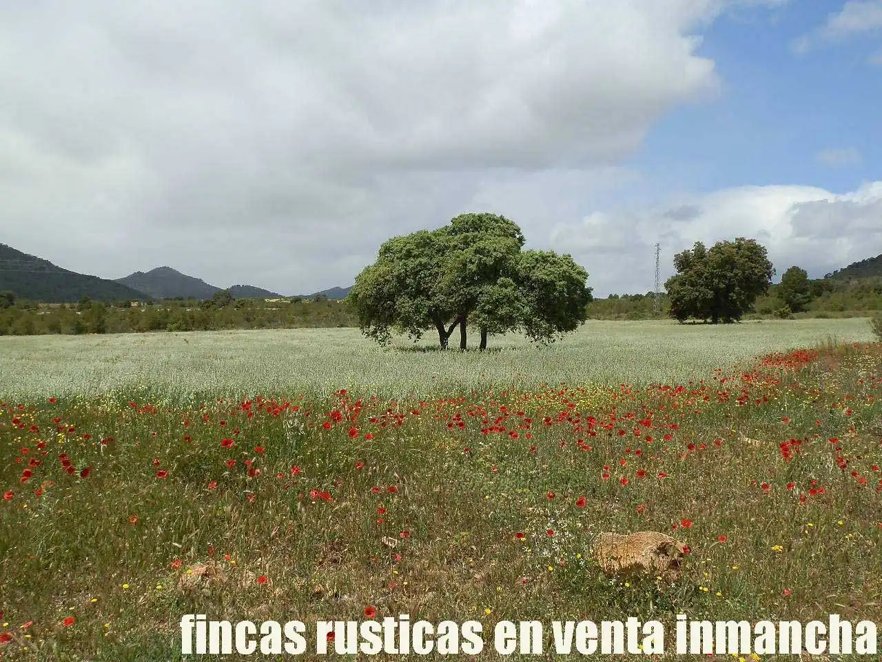 Terreni e lotti in vendita a Elche de la Sierra, imagen 17